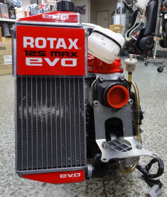 美人姉妹カート用エンジン ROTAX MAX 125 付属品多数 ジャンク エンジンかかります 2st パーツ